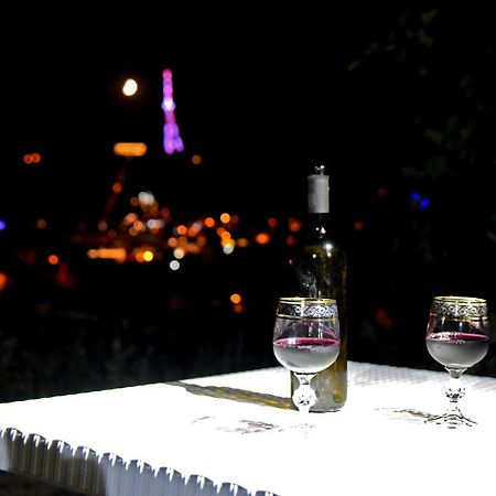 Panorama Of Tbilisi Hotel Kültér fotó
